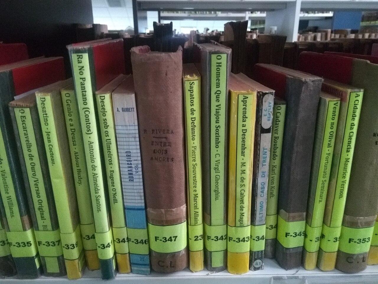 ग्रंथालयातील पुस्तके — Frederick Noronha, CC BY-SA 4.0; संदर्भचित्र, स्वाधार वसतिगृहाचे छायाचित्र नाही
